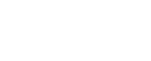 A.F.Y. Security Distributors